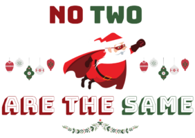 No two are the same 2