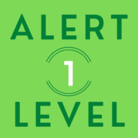 alert(1)